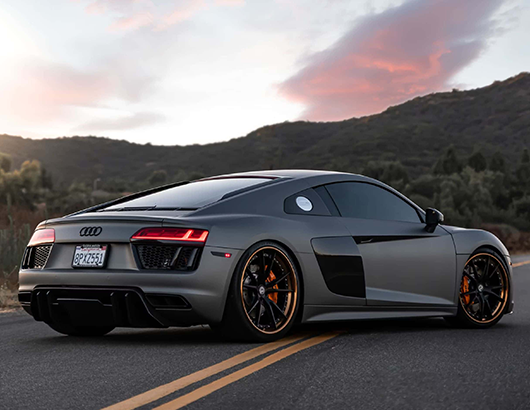 蚂蚁分类信息系统